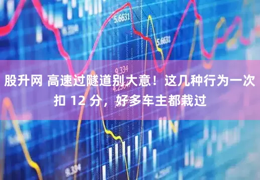 股升网 高速过隧道别大意！这几种行为一次扣 12 分，好多车主都栽过
