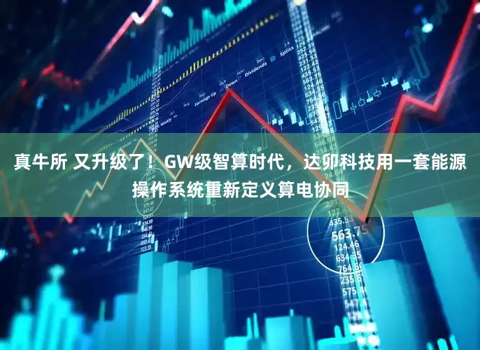 真牛所 又升级了！GW级智算时代，达卯科技用一套能源操作系统重新定义算电协同